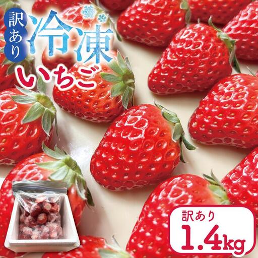 いちご 冷凍いちご 1.4kg