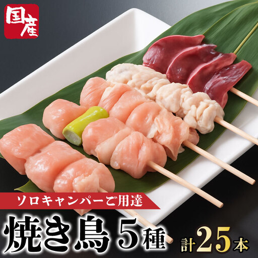 焼き鳥 5種 25本 セット 国産 もも 皮 砂ぎも ねぎま 鶏肉 とりにく