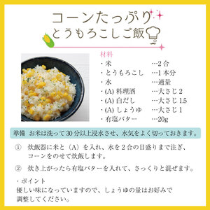 とうもろこし サニーショコラライラ 10本 4kg 先行予約 | とうもろこし