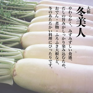 切干大根 極太 3袋 計150g 切り干し大根