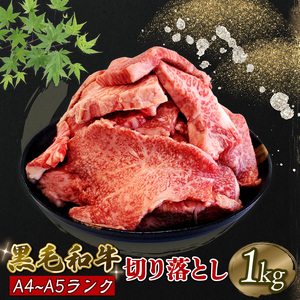 牛肉 切り落とし 1kg 焼肉 A5 黒毛和牛 阿波華牛 赤身 ロース 肩 モモ 冷凍 すき焼き 牛丼 BBQ 牛しゃぶ 野菜炒め 肉じゃが 煮物 贈り物 徳島県