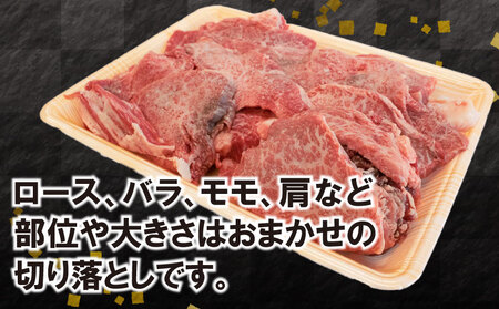 牛肉 切り落とし 1kg 焼肉 A5 黒毛和牛 阿波華牛 赤身 ロース 肩 モモ 冷凍 すき焼き 牛丼 BBQ 牛しゃぶ 野菜炒め 肉じゃが 煮物 贈り物 徳島県