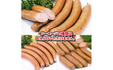 国産 豚肉 アイスバイン 500g ソーセージ 1パック おまかせセット 豚肉 豚肉 豚肉 豚肉 豚肉 豚肉 豚肉