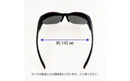 【 サングラス 】 OG5-0170 SCLA SWANS 偏光 サングラス