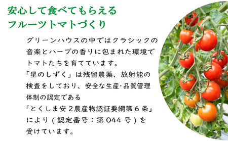 定期便 3回 フルーツトマト 500g 星のしずく 【 トマト 】