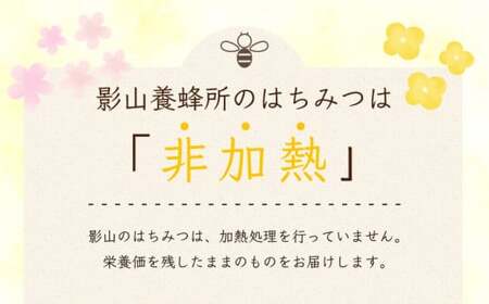 はちみつ 蜂蜜 非加熱 500g 倒立チューブ 【 はちみつ 】