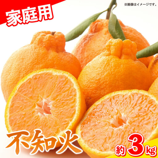 しらぬい 不知火 3kg 家庭用 訳あり9～10個入り みかん 柑橘 不知火 不知火 しらぬい