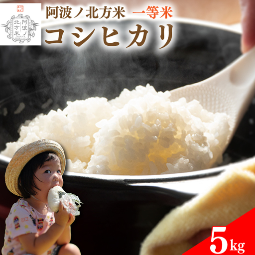 コシヒカリ 米 5kg 令和7年産 阿波ノ北方米 【 お米 】