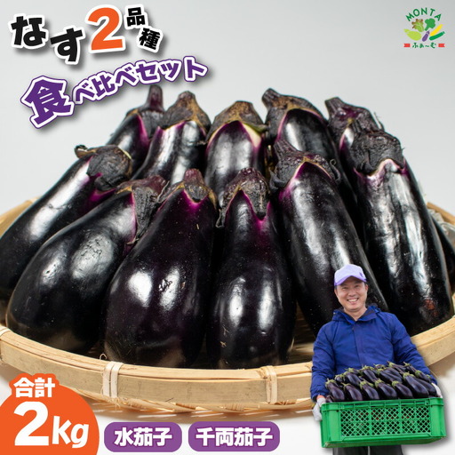 ナス 水茄子 千両なす 約2kg 詰合せ 茄子 なす 水なす 千両茄子 | 徳島 