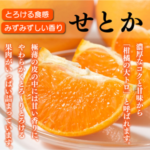 【せとか】 先行予約 訳あり せとか 3kg みかん 蜜柑