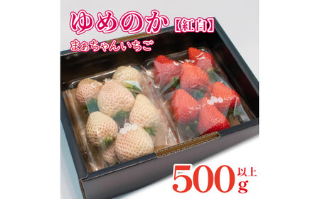 紅白いちご ゆめのか 500g以上 2パック  苺 ストロベリー 果物 いちごケーキ いちごジャム いちごアイス いちごクレープ いちご大福 白いいちご 送料無料 阿波市 徳島県 佐藤農園 先行予約 