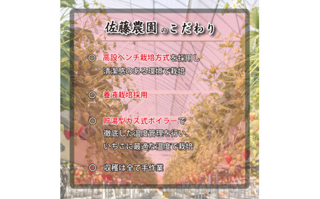 紅白いちご ゆめのか 500g以上 2パック  苺 ストロベリー 果物 いちごケーキ いちごジャム いちごアイス いちごクレープ いちご大福 白いいちご 送料無料 阿波市 徳島県 佐藤農園 先行予約 