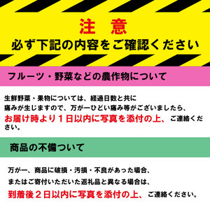 紅白いちご ゆめのか 500g以上 2パック  苺 ストロベリー 果物 いちごケーキ いちごジャム いちごアイス いちごクレープ いちご大福 白いいちご 送料無料 阿波市 徳島県 佐藤農園 先行予約 