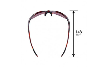 SWANS サングラス LN-0067 BKBL | サングラス