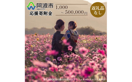 【 返礼品なし 50,000円  】 徳島県 阿波市 への 寄附 応援寄附金