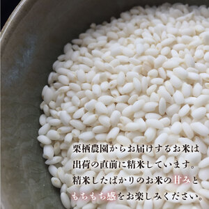 米 もち米 イチオシ 10kg 新米 令和6年産 餅 赤飯 おはぎ 阿波市 もち米 もち米 もち米