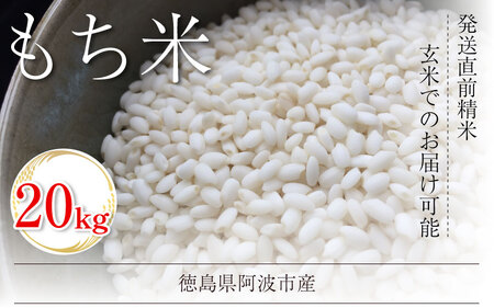 もち米　20キロ　令和6年産　兵庫県産 もち米 20キロ 令和6年産 兵庫県産