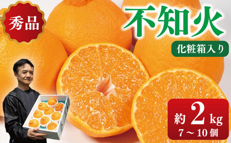 贈答用 不知火 2.0kg 7～10 個 不知火  不知火  不知火  不知火  不知火