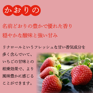 《1月発送》 訳あり いちご やよいひめ かおりの 計920g 【 いちご 】