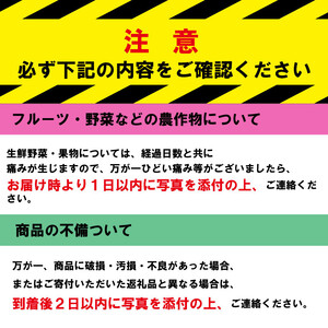 先行予約 訳あり いちご やよいひめ かおりの 計1840g  いちご いちご いちご いちご いちご いちご