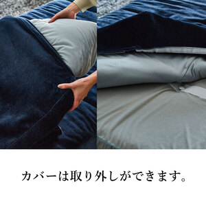 ソファー TYPE D NESSO ネッソ グレー 2人掛け 徳島県 阿波市 ソファー おしゃれソファー 家具 インテリア家具 リビング家具 2人用ソファー モダンソファー モダン家具 くつろぎソファー 椅子 チェアー イス