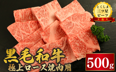 黒毛和牛 ロース 焼肉 500g 和牛 とくしま三つ星ビーフ 牛肉 牛肉 牛肉 牛肉 牛肉 牛肉