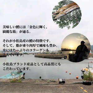 鱧 国産 はも ハモ 切り身 1kg 冷凍 骨切り カット済 【小松島市共通返礼品】