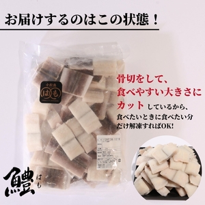 鱧 国産 はも ハモ 切り身 1kg 冷凍 骨切り カット済 【小松島市共通返礼品】