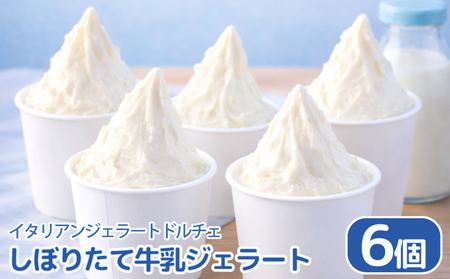 【ジェラート】 しぼりたて牛乳 6個 アイス イタリアンジェラート