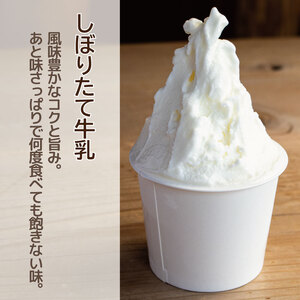 ジェラート イタリアンジェラート しぼりたて牛乳 8個