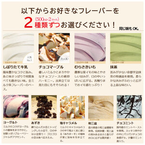 ジェラート イタリアンジェラート 1000ml ( 500ml × 2 ) 選べるフレーバー 4種 アイス ジェラート アイス ジェラート アイス ジェラート