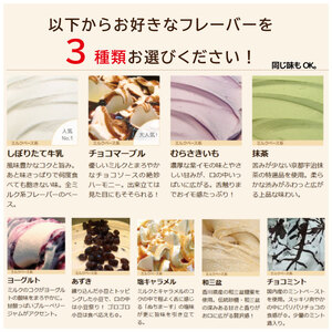 ジェラート イタリアンジェラート 1000ml 選べるフレーバー 3種 選べるフレーバー 2種 アイス ジェラート アイス ジェラート アイス