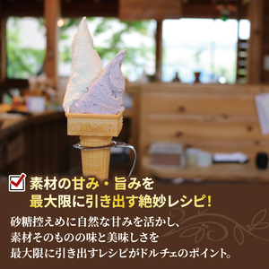 ジェラート イタリアンジェラート 1000ml 選べるフレーバー 3種 選べるフレーバー 2種 アイス ジェラート アイス ジェラート アイス