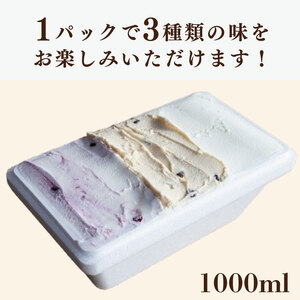 ジェラート イタリアンジェラート 1000ml 選べるフレーバー 3種 選べるフレーバー 2種 アイス ジェラート アイス ジェラート アイス