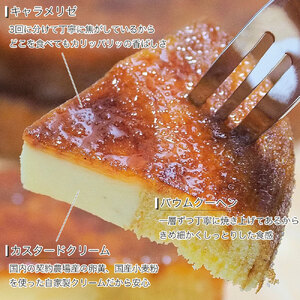 バウムクーヘン プチプリンバーム 10個 セット 冷凍 洋菓子 ケーキ プリン デザート スイーツ