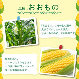 とうもろこし スイートコーン おおもの  約 5kg 