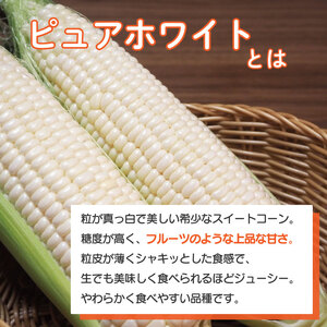 とうもろこし ホワイトコーン スイートコーン 約5kg 