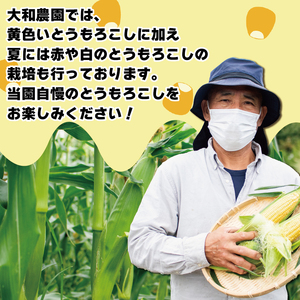 とうもろこし ホワイトコーン スイートコーン 約5kg 