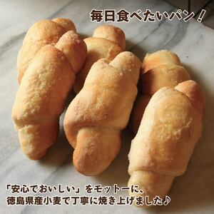 塩パン 塩ロールパン 14個 パン 塩パン パン 塩パン パン 塩パン