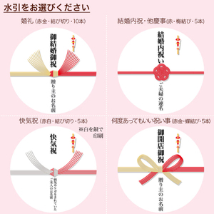 【 日時指定可 】 熨斗 ケーキ 6号 プリントケーキ 冷凍 スイーツ デザート