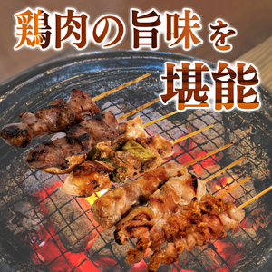 焼き鳥 5種 35本 セット 国産 もも 皮 砂ぎも ねぎま 鶏肉 とりにく