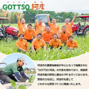 ブロッコリー 約2kg 【 ブロッコリー 】