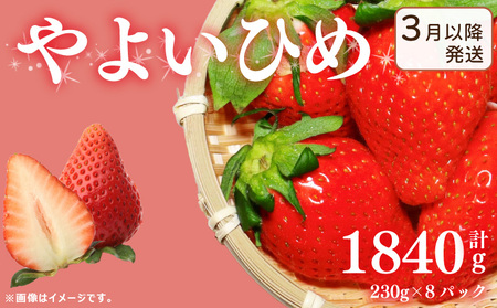 《3月～発送》先行予約 訳あり いちご やよいひめ 1840g いちご いちご いちご Berry Mate Farm