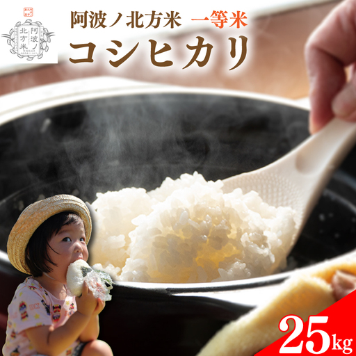 コシヒカリ 米 25kg 令和7年産 阿波ノ北方米 1等 【 お米 】