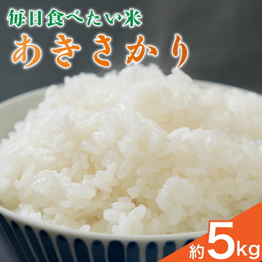 お米 あきさかり 5k 【お米】