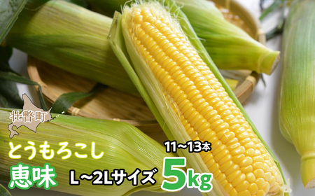 ＜2024年8月初旬よりお届け＞約5kg！北海道壮瞥産とうもろこし（恵味）【Ｌ～2Lサイズ 11～13本】【 ふるさと納税 人気 おすすめ ランキング トウモロコシ とうもろこし 恵味 野菜 甘い 北海道 壮瞥町 送料無料 】 SBTP002