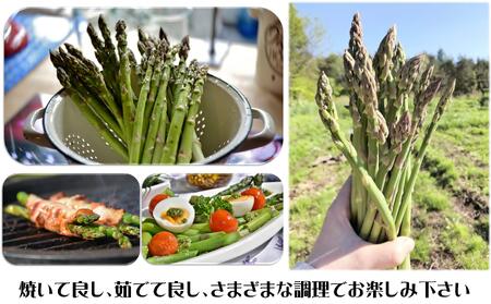 ＜2026年5月中・下旬よりお届け＞北海道壮瞥産「ファーム横山」朝採れ直送　グリーンアスパラ約1kg（Ｍ・L混合） 【 ふるさと納税 人気 おすすめ ランキング アスパラ あすぱら 野菜 北海道 壮瞥町 送料無料 】 SBTM001