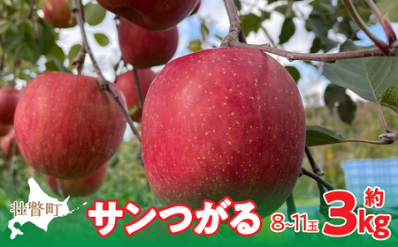 ＜2025年9月下旬～10月中旬頃までのお届け＞ 北海道壮瞥町 りんご 品種名「サンつがる」8～11玉約3kg 【 ふるさと納税 人気 おすすめ ランキング りんご リンゴ 林檎 サンつがる 甘い 北海道 壮瞥町 送料無料 】 SBTF001