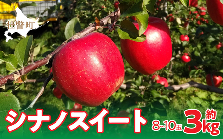 2025年10月下旬よりお届け＞ 北海道壮瞥町 りんご 「シナノスイート」8