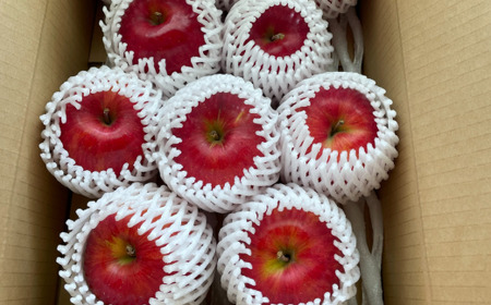 2025年10月下旬よりお届け＞ 北海道壮瞥町 りんご 「シナノスイート」8